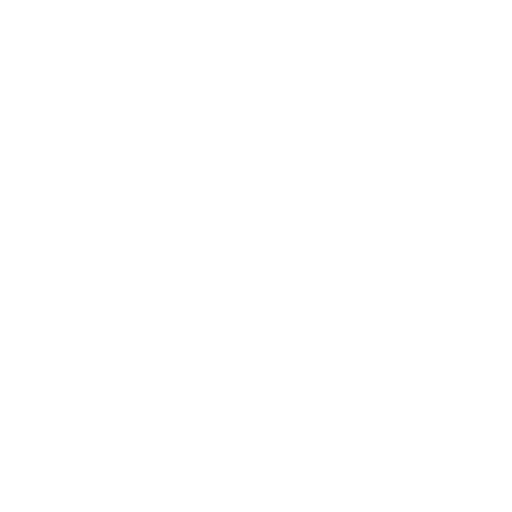 Globe Icon